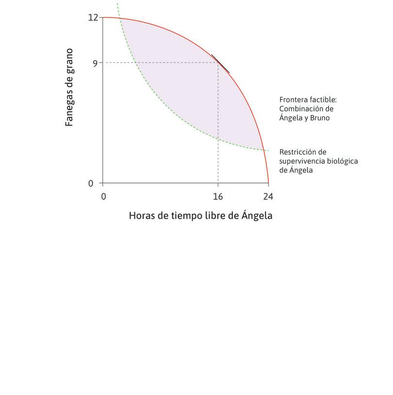 Bruno puede ordenarle a Ángela que trabaje
: Bruno puede elegir cualquier asignación del conjunto técnicamente factible. Bruno considera dejar que Ángela siga trabajando 8 horas al día y produciendo 9 fanegas.
