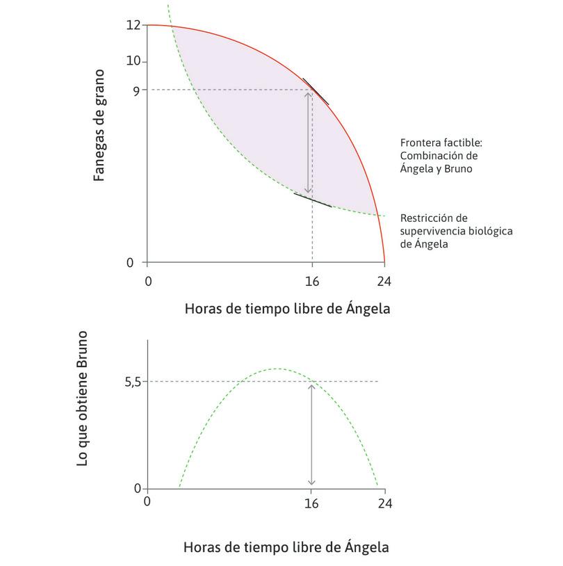 Cuando Ángela trabaja 8 horas
: Entonces Bruno podría llevarse 5,5 fanegas sin poner en peligro las oportunidades futuras de beneficiarse del trabajo de Ángela. Esto se mide por la distancia vertical entre la frontera factible y la restricción de supervivencia.
