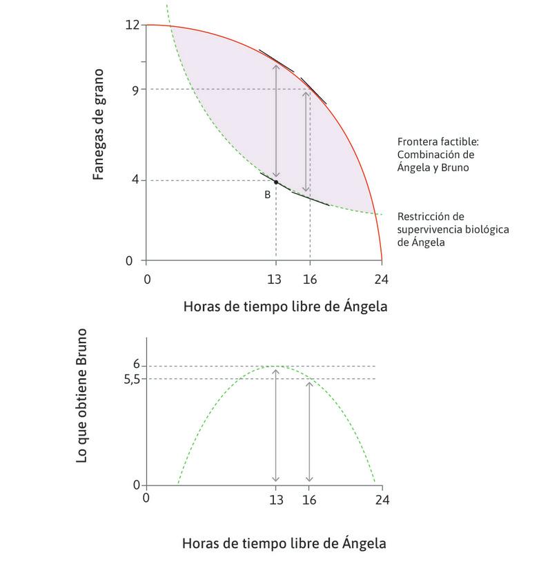 La distancia máxima entre fronteras
: La distancia vertical entre la frontera factible y la restricción de supervivencia biológica alcanza su máximo cuando Ángela trabaja durante 11 horas (13 horas de tiempo libre).
