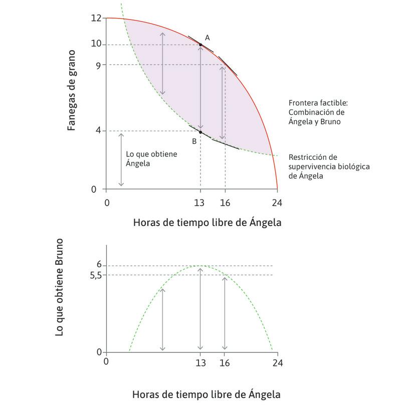 La pendiente de la frontera de supervivencia aumenta a medida que las horas de trabajo se incrementan
: Si Bruno hace que Ángela trabaje más de 11 horas, la cantidad de fanegas que Bruno puede quedarse disminuye a medida que aumentan las horas de trabajo de Ángela.
