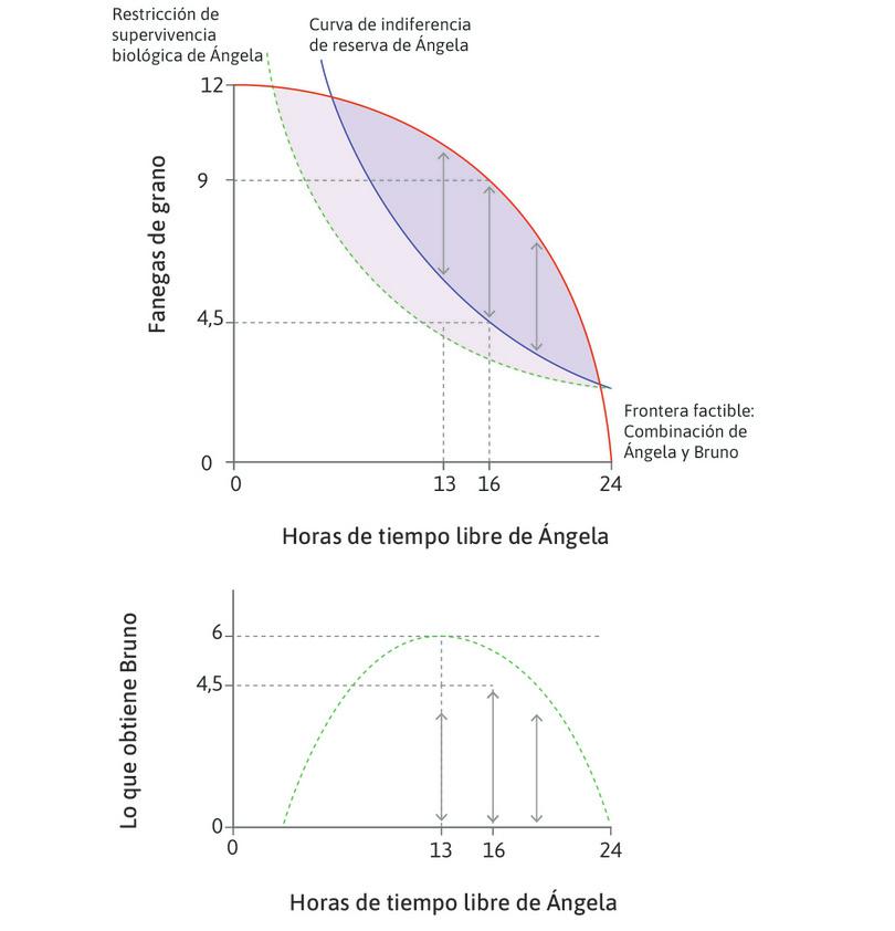El excedente máximo
: Si Ángela trabaja más o menos de 8 horas, el excedente conjunto es menor que 4,5 fanegas de grano.

