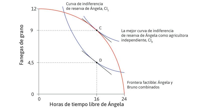 La asignación en D
: Cuando Bruno era dueño de la tierra e hizo una oferta del tipo «o lo toma o lo deja», eligió un contrato en el que el alquiler de la tierra era CD (4,5 fanegas). Ángela aceptó y trabajó 8 horas. La asignación fue D y, una vez más, TMT = TMS. El excedente seguía siendo CD pero, en este caso, Bruno se lo llevó todo.
