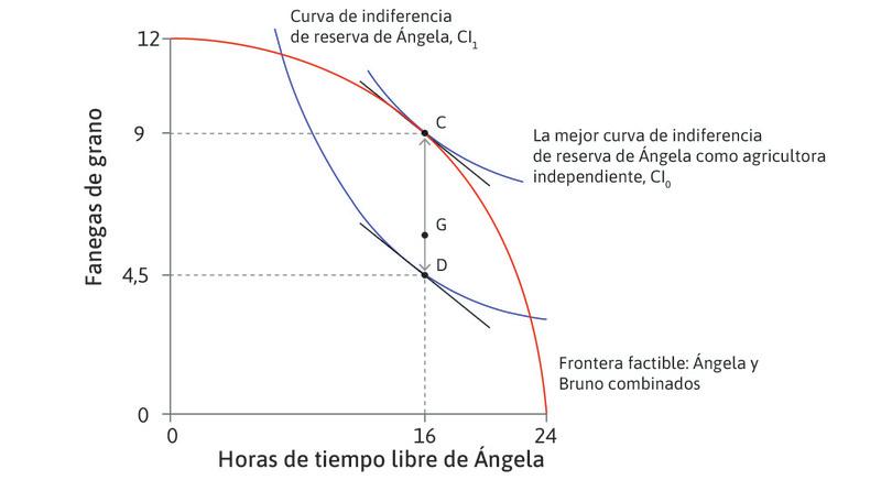 Las preferencias de Ángela
: Recuerde que la TMS de Ángela no cambia a medida que consume más fanegadas de grano. En cualquier punto a lo largo de la línea CD, como G, hay una curva de indiferencia con la misma pendiente. Así pues, TMS = TMT en todos estos puntos.

