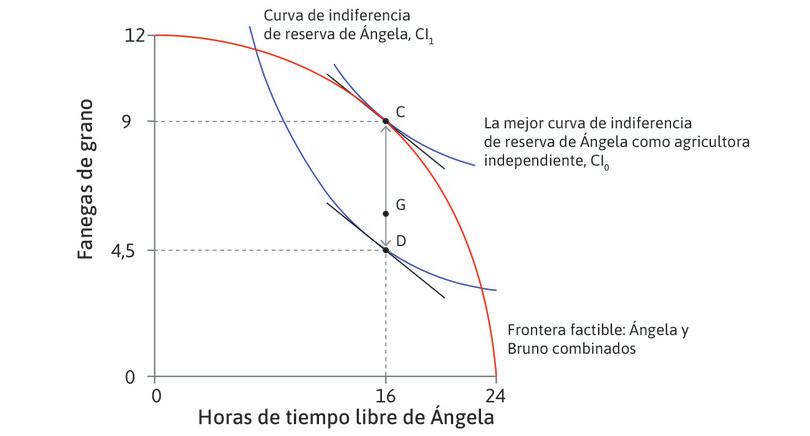Una asignación hipotética
: El punto G es una asignación hipotética, en la cual TMS = TMT. Ángela trabaja durante 8 horas y se producen 9 fanegas de grano. Bruno obtiene CG de grano, y Ángela obtiene todo lo demás. La asignación G es eficiente en términos de Pareto.
