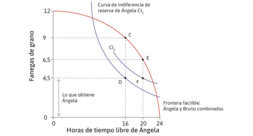 El efecto de la legislación
: Con una legislación que reduce la jornada laboral a 4 horas al tiempo que mantiene la cantidad de grano que recibe Ángela, está se sitúa en una curva de indiferencia más alta en F. El grano que percibe Bruno baja de CD a EF (2 fanegas).

