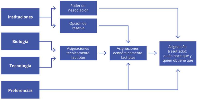 Los determinantes fundamentales de los resultados económicos.
