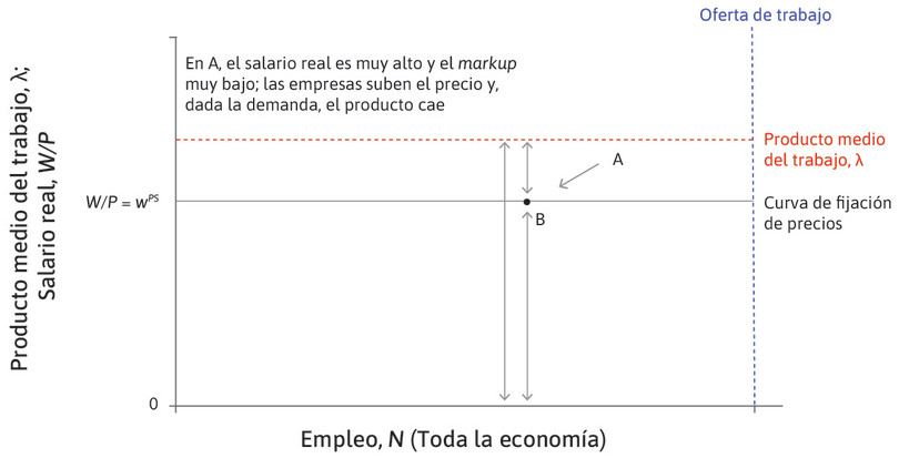 Punto B
: La empresa subirá el precio para optar a mayores beneficios en el punto B. El aumento del precio hará que se vendan menos bienes y, como es el caso para todas las empresas, el empleo total cae.
