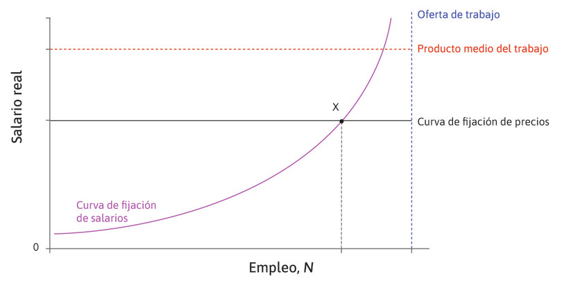 Punto X
: En X, el desempleo se encuentra en su nivel correspondiente al equilibrio en el mercado laboral. Si alguien perdiera su trabajo en X, no se mostraría indiferente entre tener o no tener trabajo porque experimentaría un costo en caso de perder el trabajo.
