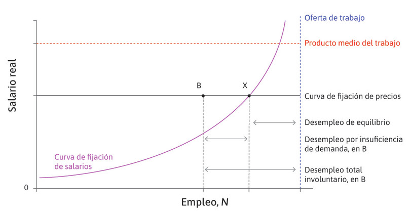 Mercado laboral agregado: desempleo cíclico y desempleo de equilibrio.
