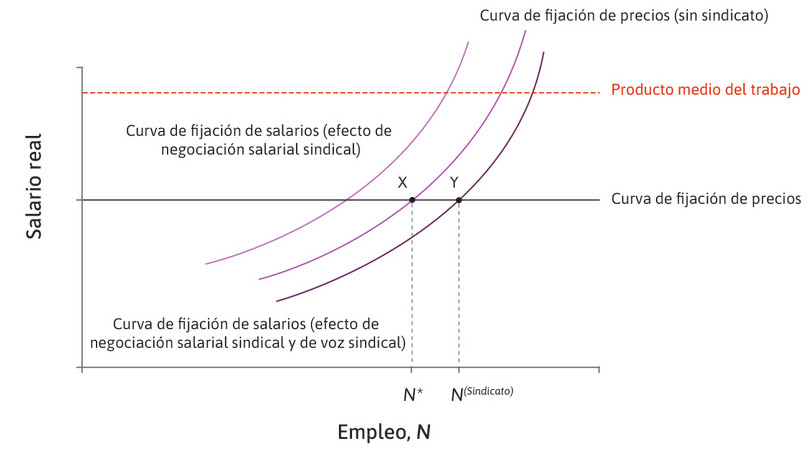 La curva de fijación de salarios negociada y el equilibrio del mercado laboral cuando hay un efecto de voz sindical.
