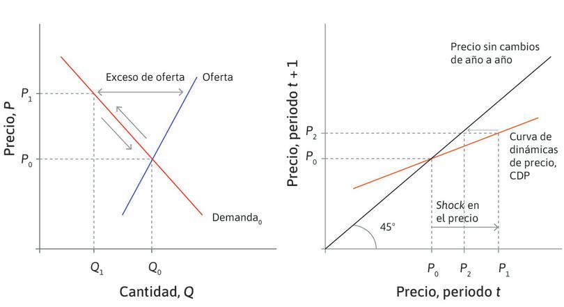 Las creencias moderan las subidas de precios
: Dado que la CDP es más plana que la línea de 45°, P2 está más cerca del equilibrio que P1. Los inversores están influenciados por sus creencias sobre el valor fundamental de FCC, que es P0.
