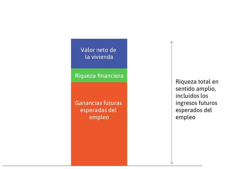 La riqueza total del hogar en sentido amplio
: Es la suma de los rectángulos verde, azul y naranja.
