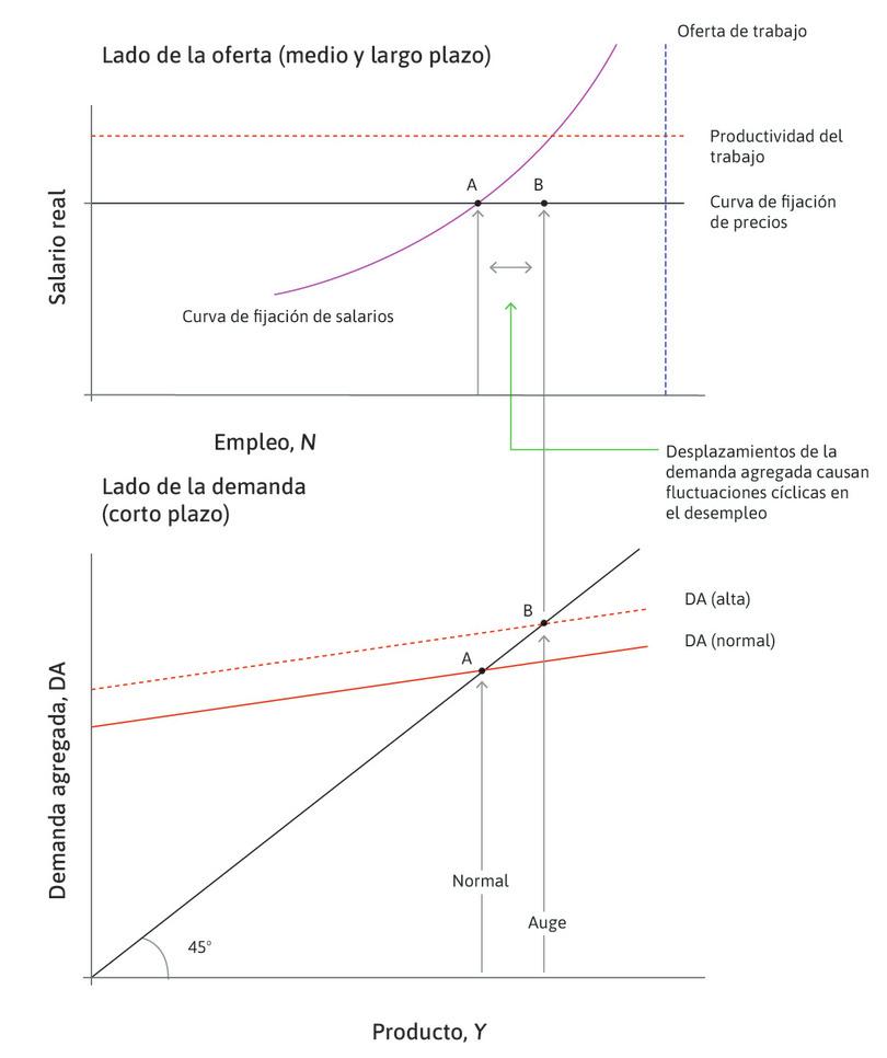 Un auge
: Considere un aumento en la inversión que desplaza la curva de demanda agregada hasta DA (alta), de modo que aumenten la producción y el empleo. La economía pasa a B: con el auge, el desempleo cae por debajo del 5%. El empleo adicional se llama empleo cíclico.
