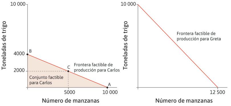 La frontera factible de producción para Greta
: Se muestra en el panel de la derecha. Greta puede producir más que Carlos de ambos bienes. Si cultiva un solo producto, puede producir 12 500 manzanas o 10 000 toneladas de trigo con 100 hectáreas de tierra.
