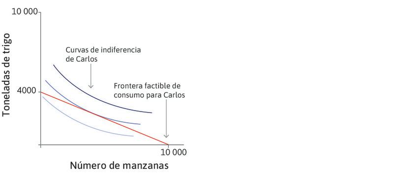 Curvas de indiferencia de Carlos
: La forma de las curvas de indiferencia representa las preferencias de Carlos en cuanto al trigo y las manzanas.
