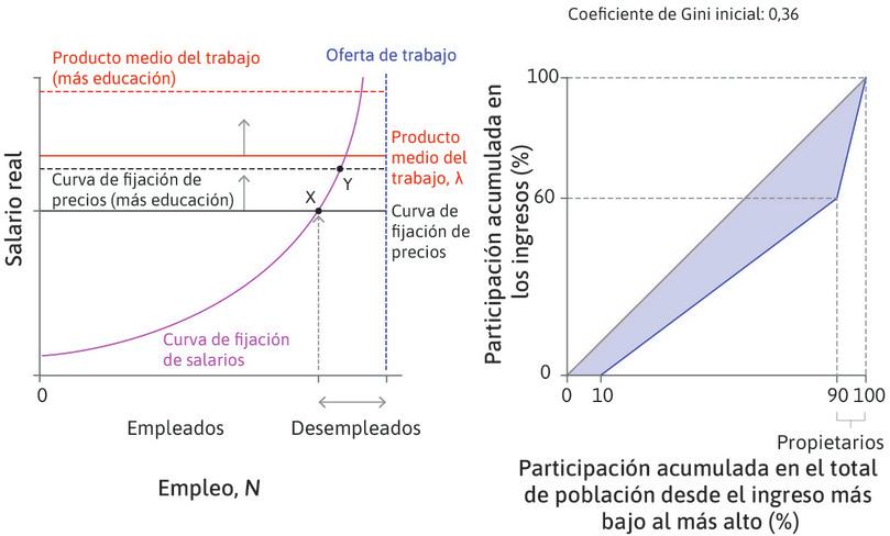 Entrada de empresas
: En respuesta a unos beneficios mayores, la producción se expande, lo que reduce la tasa de desempleo. Teniendo en cuenta que esto eleva la posición de reserva de los empleados, induce a las empresas a fijar un salario más alto. El nuevo equilibrio del mercado de trabajo se encuentra en Y.
