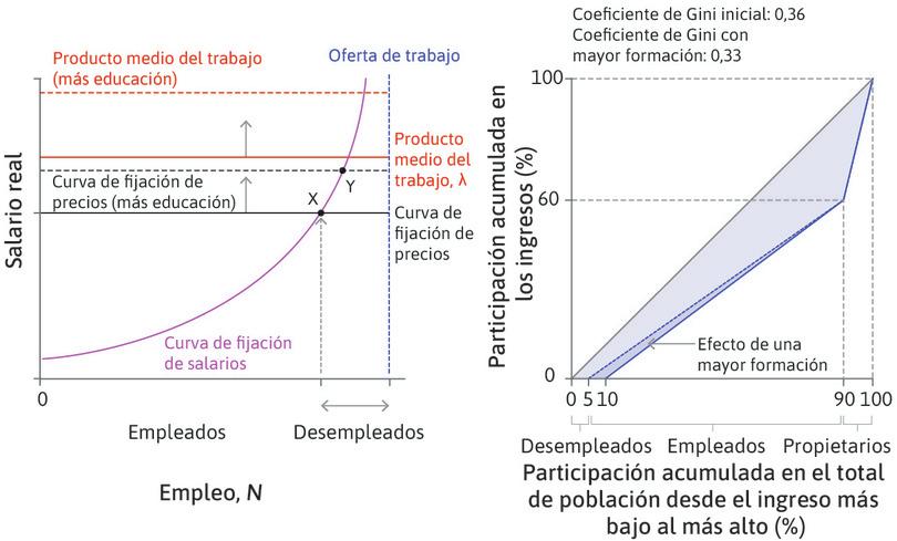 El efecto de una fuerza de trabajo más formada sobre la desigualdad entre empleadores, empleados y desempleados: el mercado de trabajo para toda la economía y la curva de Lorenz.
