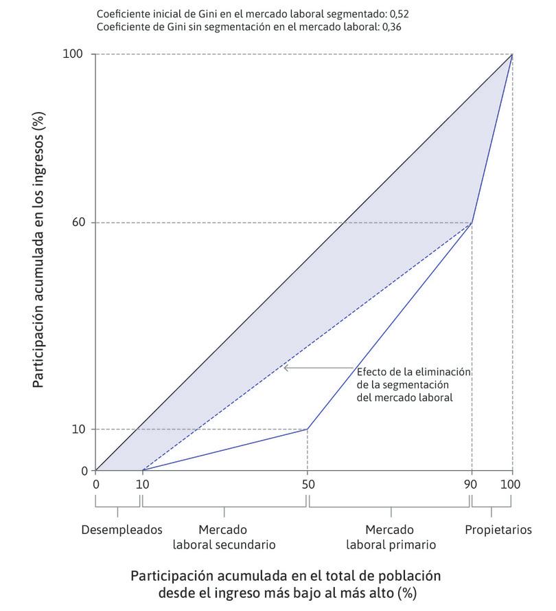 El efecto de la segmentación del mercado laboral.
