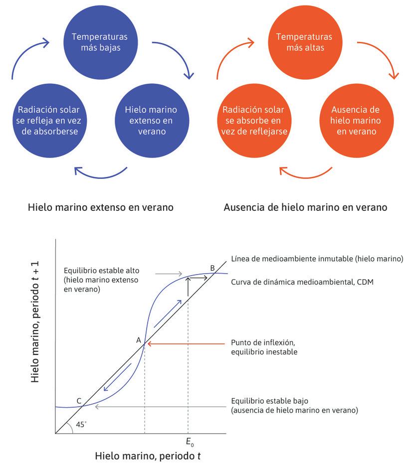 La curva de dinámica medioambiental y el punto de inflexión medioambiental.
