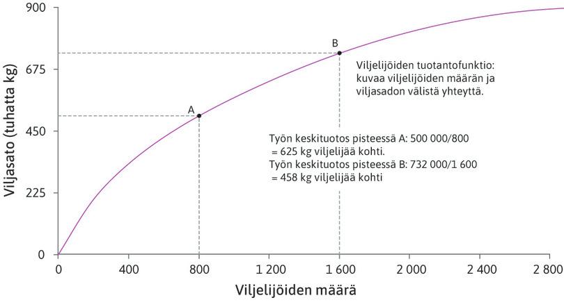 Keskituotos pienenee
: Pisteessä A työn keskituotos on 500 000 ÷ 800 = 625 kg viljelijää kohti. Pisteessä B työn keskituotos on 732 000 ÷ 1 600 = 458 kg viljelijää kohti.

