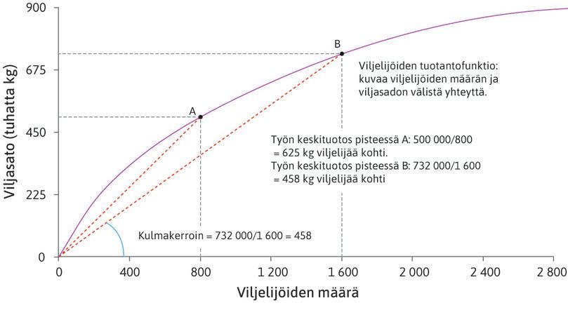 Viljelijöiden tuotantofunktio: työn laskeva keskituotos

