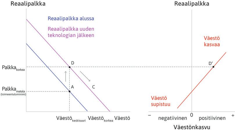 Väestönkasvu jatkuu
: Väestön kasvaessa palkat laskevat, koska työn keskituotos laskee. Talous siirtyy reaalipalkkoja kuvaavalla suoralla pisteestä D alaspäin.

