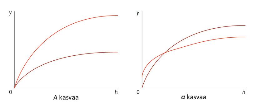 Tuotantofunktion siirtyminen: kaksi mallia.

