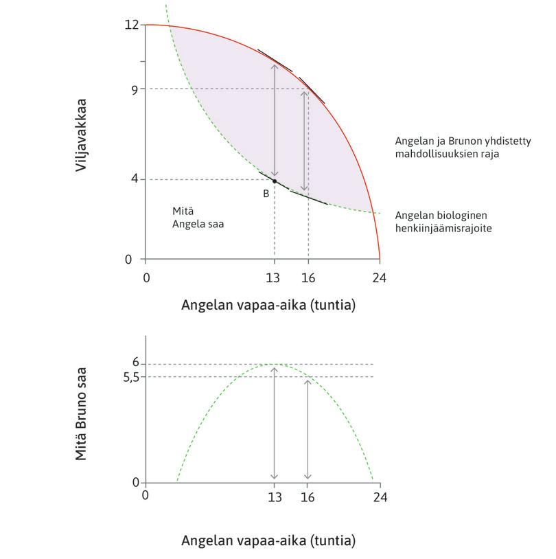 Rajojen välinen enimmäisetäisyys
: Mahdollisuuksien rajan ja biologisen henkiinjäämisrajoitteen pystysuora etäisyys on suurimmillaan, kun Angela työskentelee 11 tuntia ja pitää 13 tuntia vapaata.
