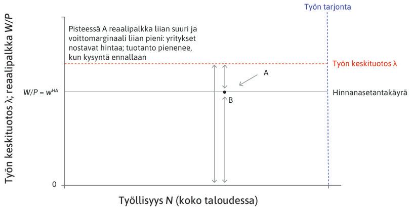 Piste B
: Yritys korottaa hintaansa päästäkseen pisteeseen B, jossa voitot ovat suuremmat. Hinnankorotus tarkoittaa, että yritys myy vähemmän tuotteita. Koska sama toistuu kaikissa yrityksissä, kokonaistyöllisyys vähenee.
