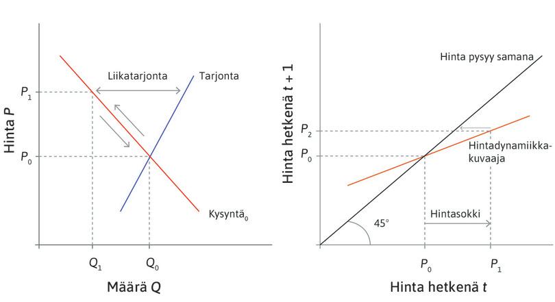 Hinnan korjausliike
: Hintadynamiikkakuvaaja kertoo, että jos hinta on kysyntäpiikin hetkenä P1, seuraavana hetkenä se on P2.
