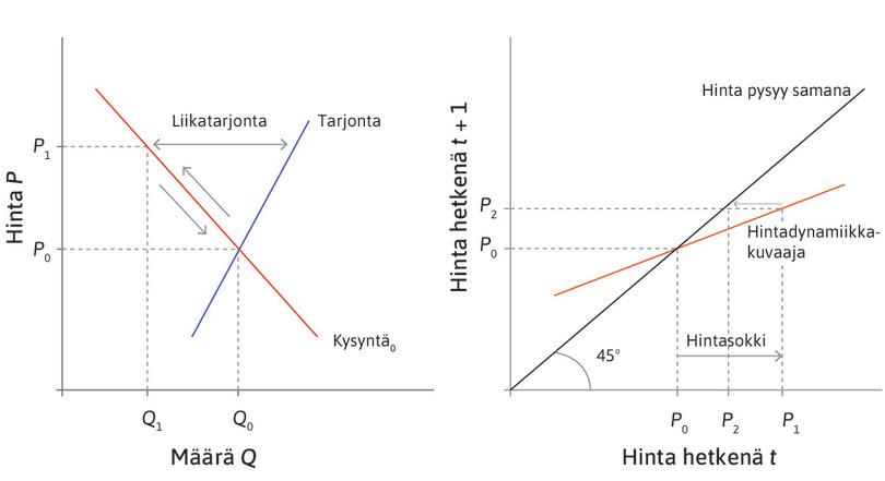 Näkemykset hillitsevät hintavaihtelua
: Koska hintadynamiikkakuvaaja on loivempi kuin 45 asteen kulmassa nouseva suora, P2 on lähempänä tasapainohintaa kuin P1. Sijoittajien toimia ohjaa heidän näkemyksensä Siipikiesin substanssiarvosta, joka on P0.
