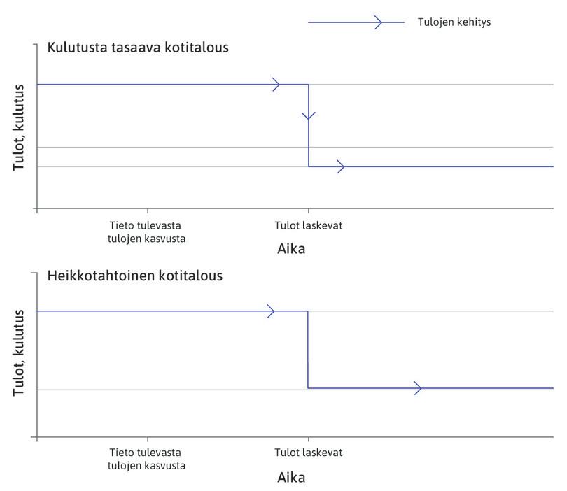Tulokehitys
: Siniset viivat kertovat, että kummankin kotitalouden tulokehitys on samanlaista.
