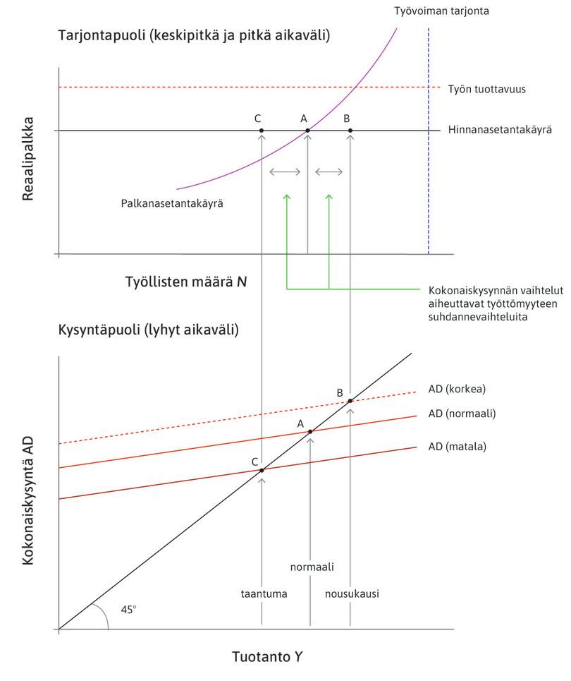 Työttömyyden vaihtelu tasapainotyöttömyyden ympärillä suhdannesyklin mittaan.
