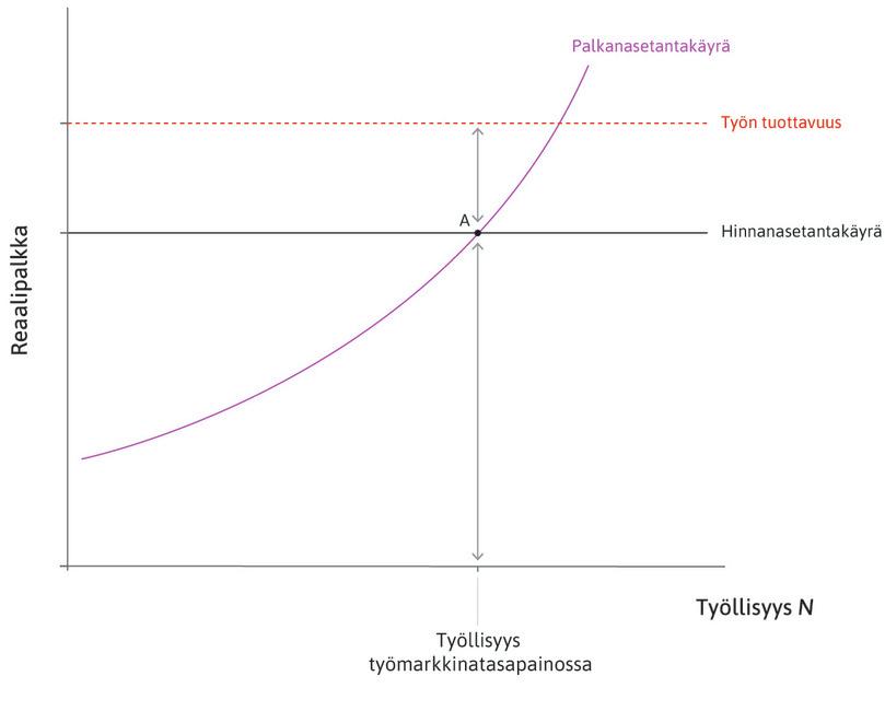 Työmarkkinatasapaino pisteessä A
: Pisteessä A talous on työmarkkinatasapainossa. Palkanasetantakäyrän reaalipalkka on yhtä suuri kuin hinnanasetantakäyrän reaalipalkka. Tällöin yritysten vaatima reaalinen voitto työntekijää kohti ja työntekijöiden vaatima reaalipalkka ovat yhteensä yhtä suuret kuin työn tuottavuus.
