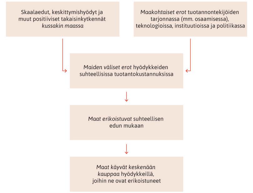Kustannuserot, erikoistuminen ja kauppa.
