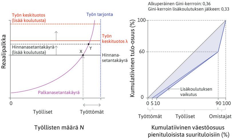Työmarkkinat ja Lorenz-käyrä: työntekijöiden lisäkoulutuksen vaikutus tuloeroihin työnantajien, työntekijöiden ja työttömien joukossa.
