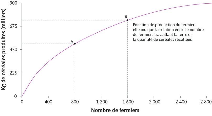 Production avec 1 600 fermiers
: Le point B de la fonction de production représente la quantité de céréales produite par 1 600 fermiers.
