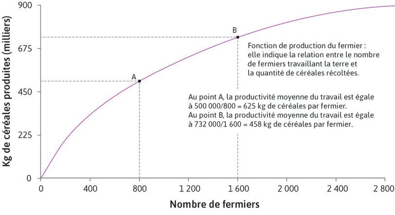 La production moyenne diminue
: Au point A, la productivité moyenne du travail est 500 000 ÷ 800 = 625 kg de céréales par fermier. Au point B, la productivité moyenne du travail est 732 000 ÷ 1 600 = 458 kg de céréales par fermier.
