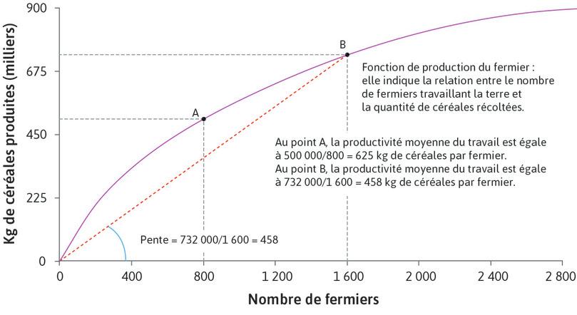 La pente de la corde représente la productivité moyenne
: La pente de la corde partant de l’origine et passant par le point B situé sur la fonction de production représente la productivité moyenne du travail au point B. La pente est de 458, ce qui signifie que la productivité moyenne est de 458 kg par fermier lorsque 1 600 fermiers travaillent la terre.
