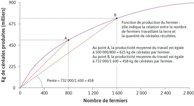 La fonction de production du fermier : productivité moyenne décroissante du travail.
