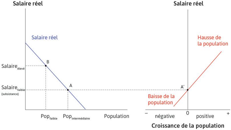 Faire le lien entre les deux graphiques
: Au point A, sur la gauche, la population est de taille intermédiaire et le salaire est au niveau de subsistance. Le tracé vers le point A′ sur la droite montre que la croissance démographique est égale à zéro. Ainsi, si l’économie est au point A, elle est à l’équilibre : la population reste constante et les salaires restent au niveau de subsistance.
