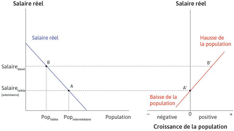 Une population plus petite
: Après une épidémie, par exemple, l’économie est au pointB, avec un salaire plus élevé et une population moindre. Le point B′, sur la droite, montre que la population augmentera.
