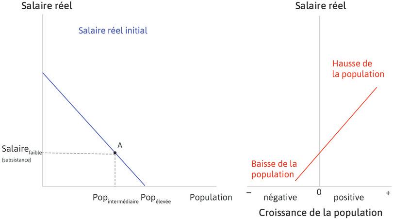L’économie est initialement à l’équilibre
: L’économie débute au point A, avec une population de taille intermédiaire et des salaires au niveau de subsistance.
