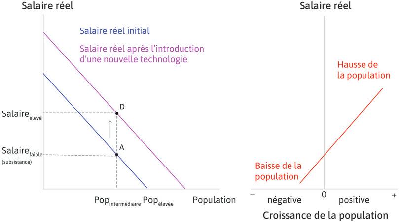 Une avancée technologique – hausse des salaires
: Une amélioration technologique (par exemple, de meilleures graines) augmente le rendement moyen du travail, et le salaire est plus élevé quelle que soit la taille de la population. La droite du salaire réel se déplace vers le haut. Au niveau de population initial, le salaire augmente et l’économie se déplace au point D.
