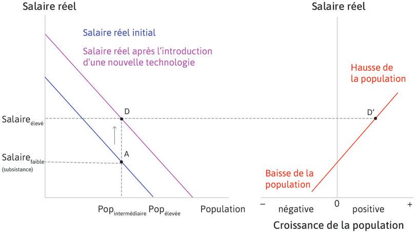 La population commence à augmenter
: Au point D, le salaire s’est élevé au-dessus du niveau de subsistance et par conséquent la population commence à augmenter (point D′).
