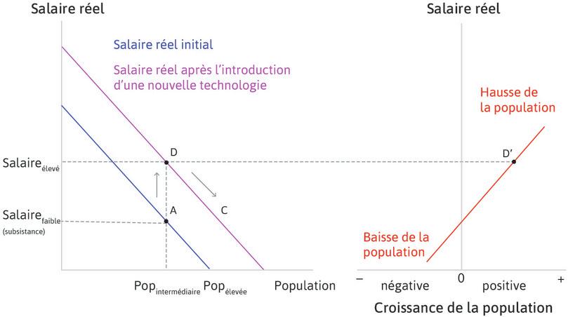 La population augmente
: À mesure que la population augmente, les salaires chutent, à cause des rendements décroissants du travail. L’économie se déplace du point D vers le bas le long de la courbe des salaires réels.
