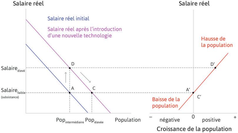 Introduction d’une nouvelle technologie dans une économie malthusienne
: Introduction d’une nouvelle technologie dans une économie malthusienne.
