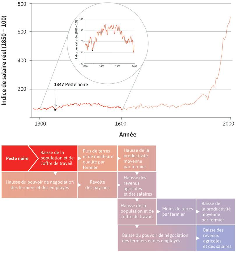 La Peste Noire (1348–50)
: La peste bubonique de 1348–1350 était également appelée la Peste noire. Elle tua 1,5 million de personnes parmi la population anglaise alors estimée à 4 millions de personnes, ce qui s’est traduit par une chute spectaculaire de l’offre de travail.
