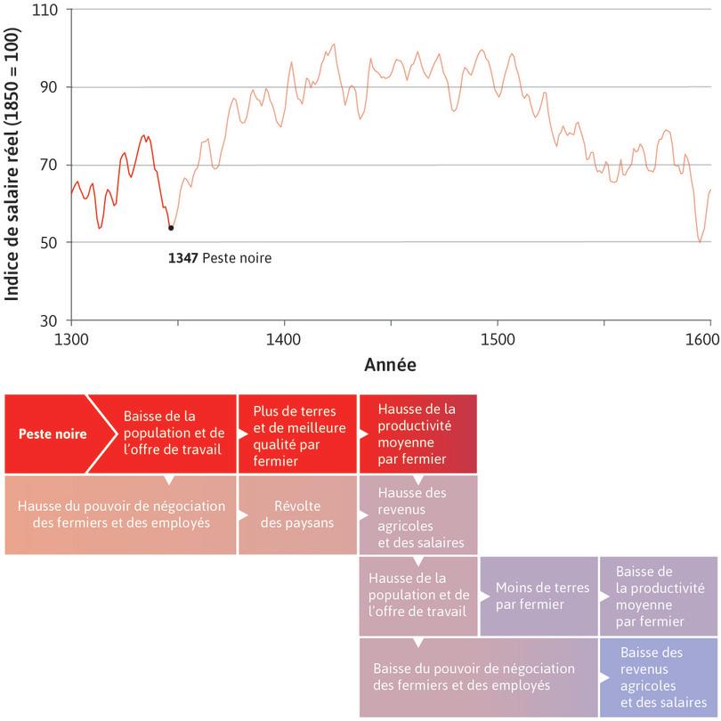 Les revenus ont augmenté suite à l’épidémie
: Cette baisse de la population s’est traduite par un bénéfice économique pour les fermiers et travailleurs qui ont survécu : les fermiers avaient à la fois plus de terres et des terres de meilleure qualité et les travailleurs pouvaient demander des salaires plus élevés. Les revenus augmentaient à mesure que la peste s’atténuait.
