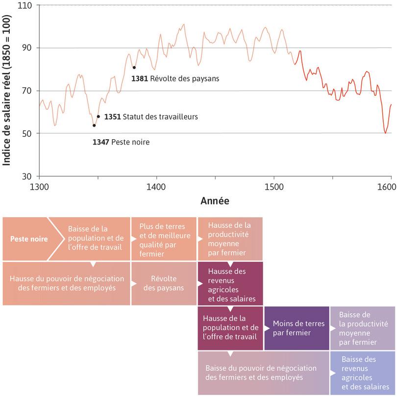 La population a augmenté au 16e siècle
: D’ici le milieu du 15e siècle, les salaires réels des ouvriers du bâtiment anglais ont doublé. Les salaires plus élevés ont permis à la population de se rétablir au 16e siècle, mais la loi de Malthus s’est vérifiée : à mesure que la population augmentait, les revenus ont baissé.
